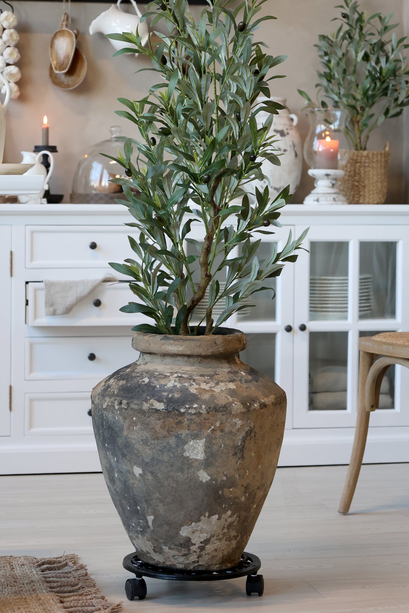 Olivenbaum "Fleur" mittelgross