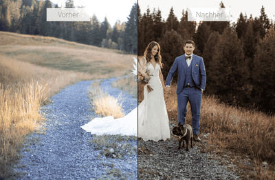 Presets 2022 von NinArt (digitales Produkt)