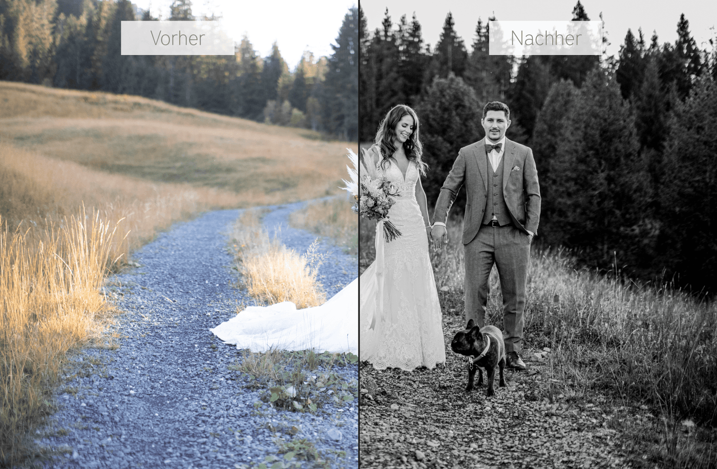 Presets 2022 von NinArt (digitales Produkt)