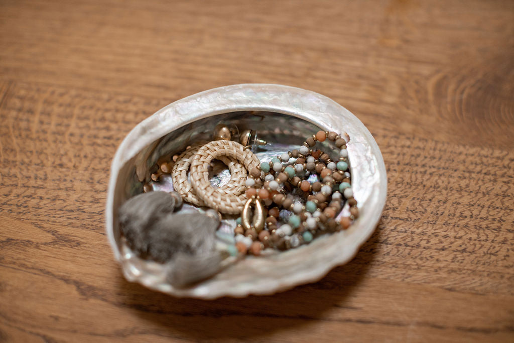 Muschel Abalone