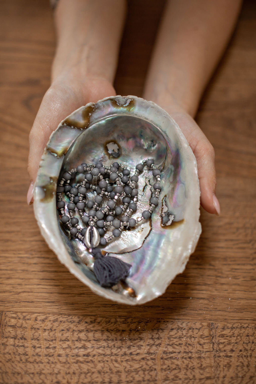 Muschel Abalone