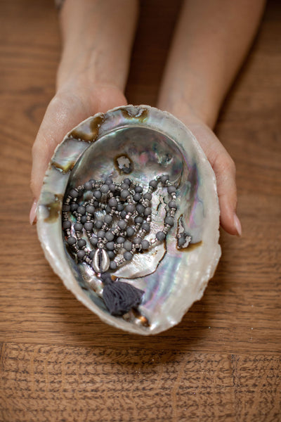 Muschel Abalone